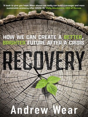 cover image of Recovery